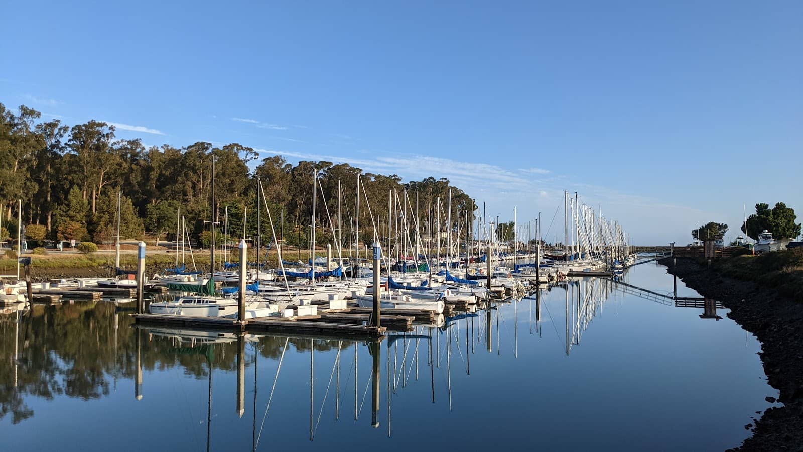 Fishing and Dockside Ambiance