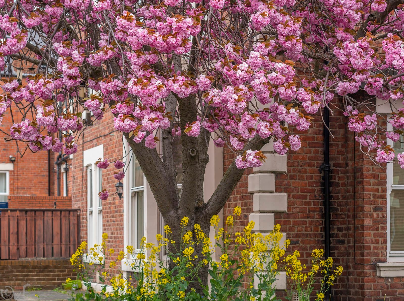 Heaton Newcastle upon Tyne - Image 1