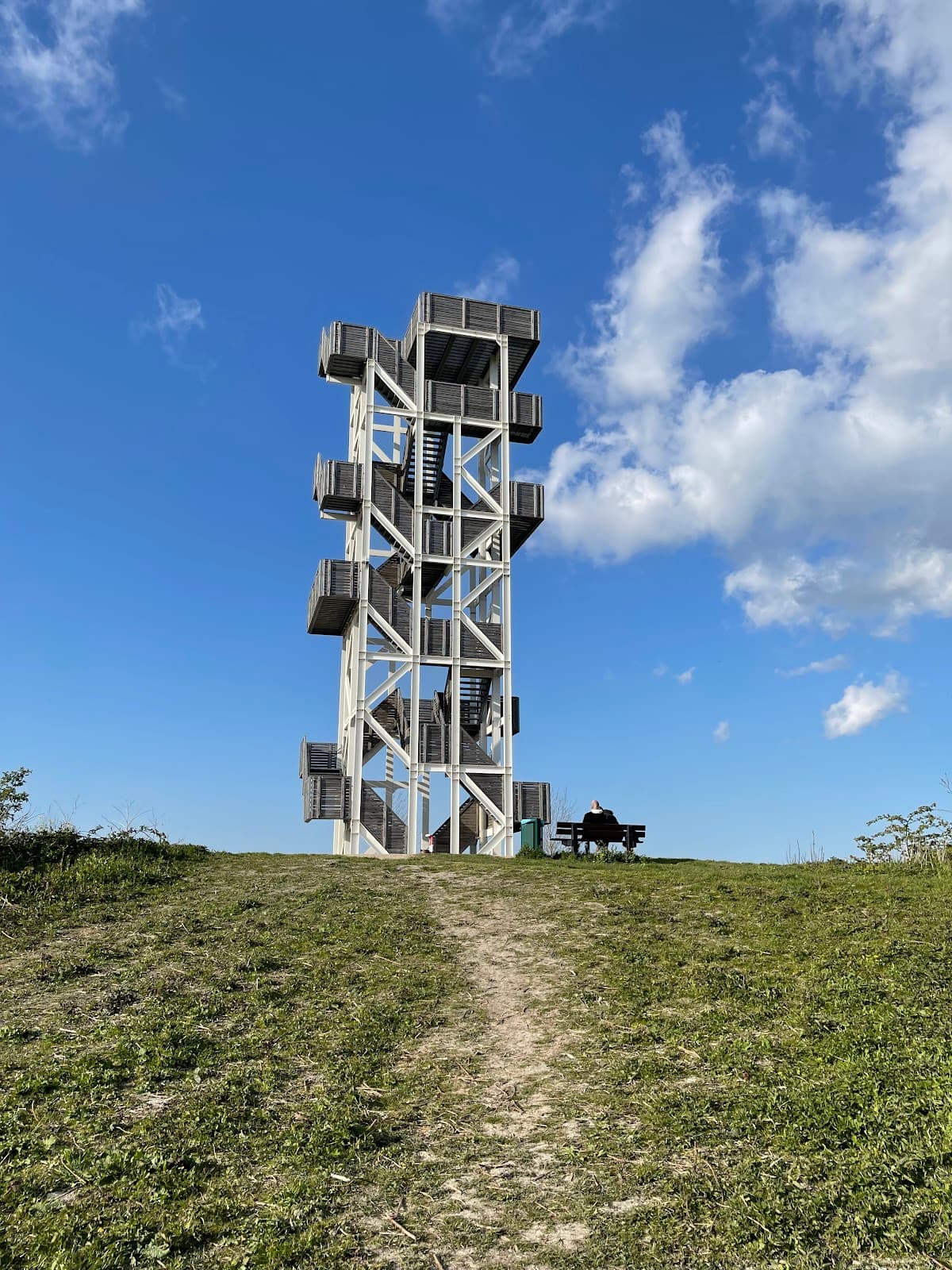 Hoge Bergse Bos - Image 1