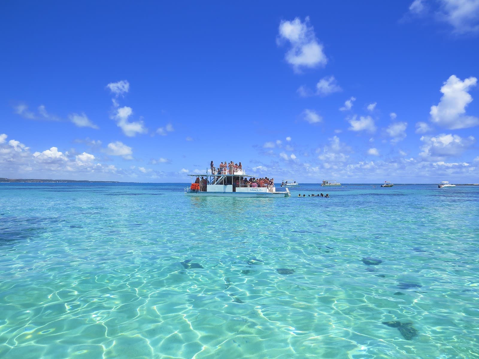 Maragogi Mangroves - Image 1