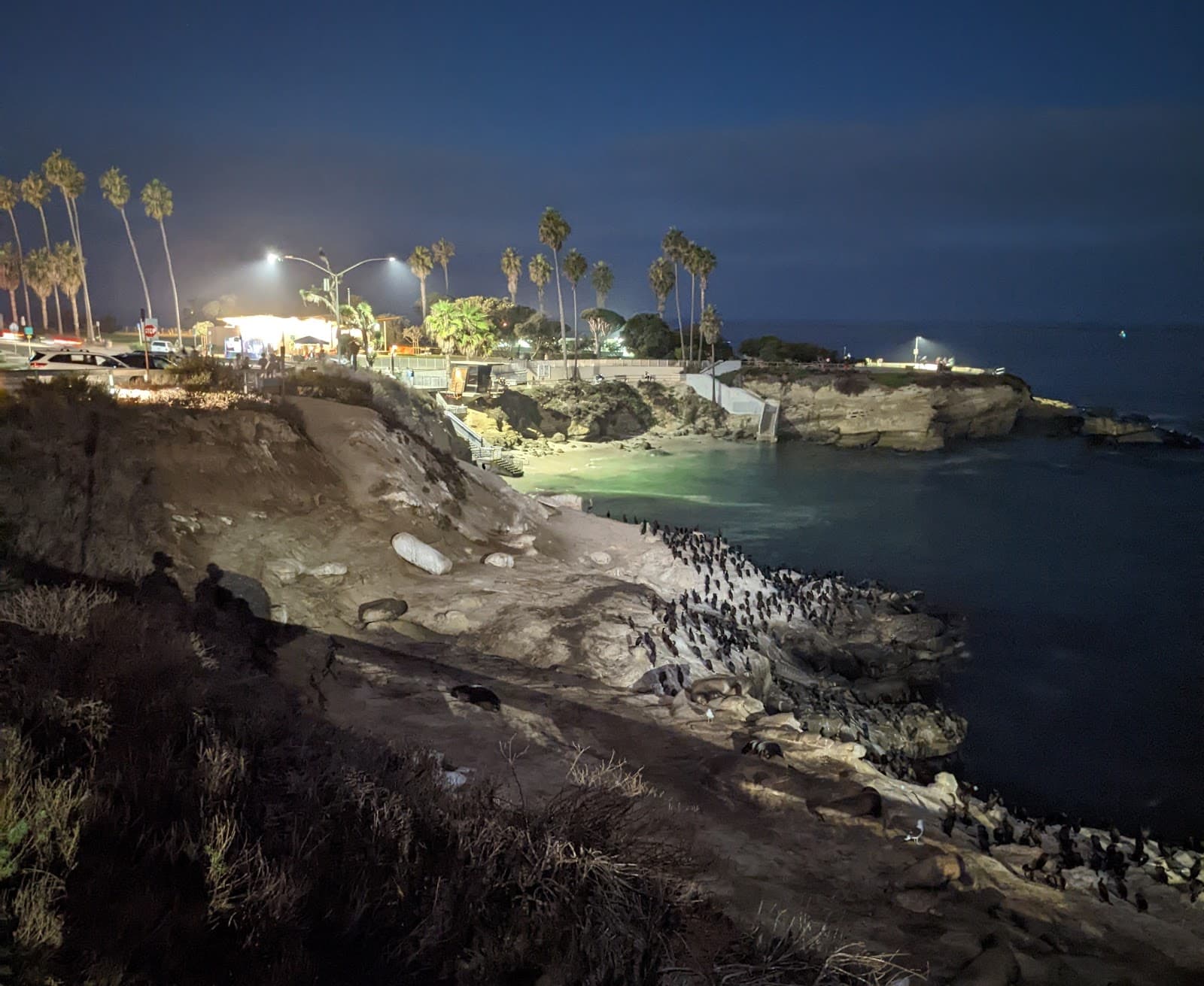 La Jolla Shores - Image 1