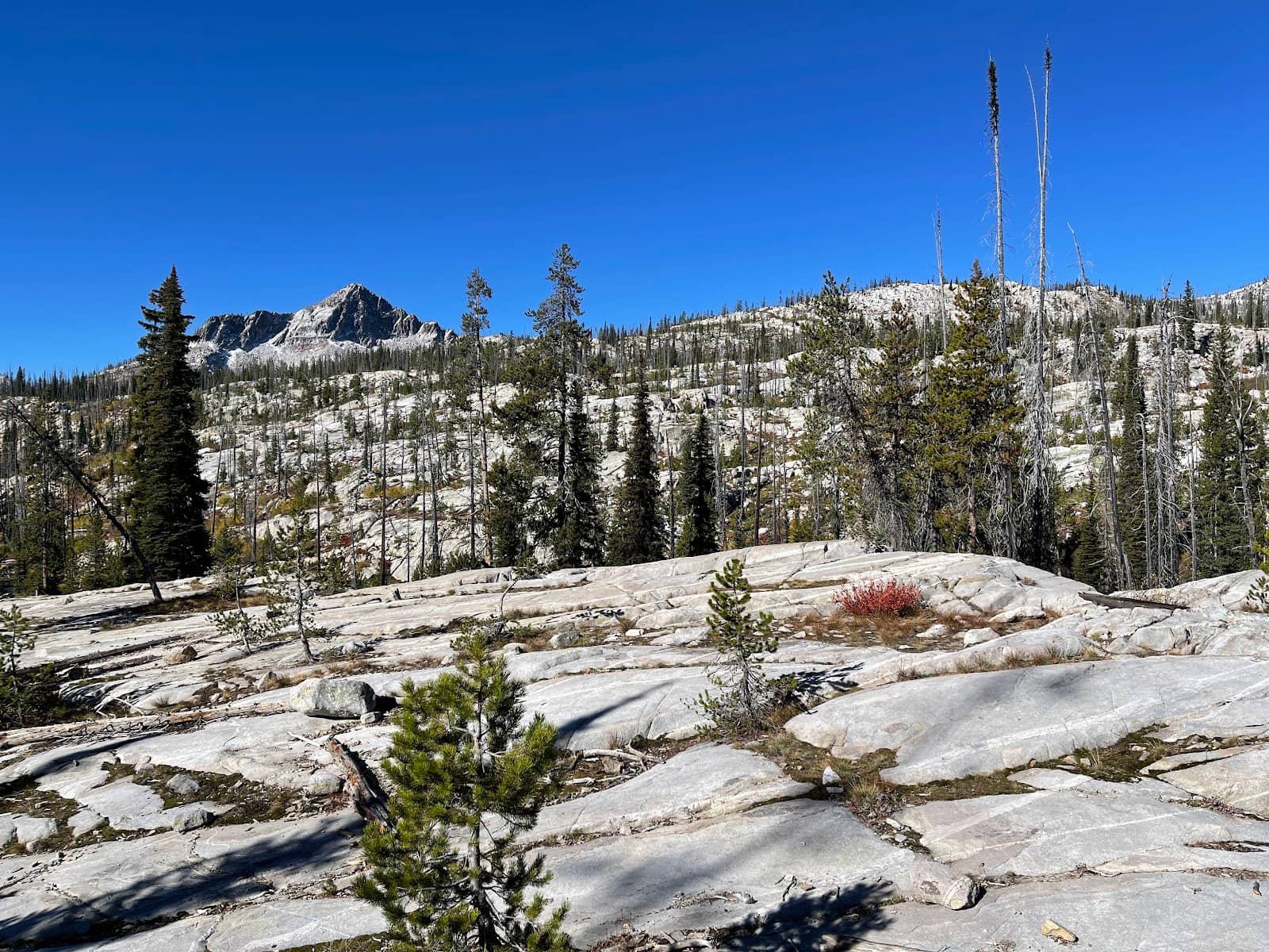 Wildlife Spotting Opportunities