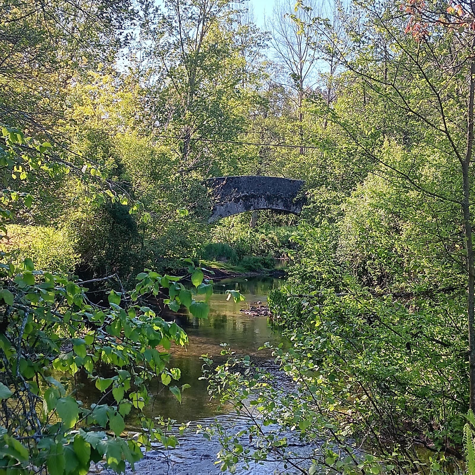 Puente de Amandi - Image 1