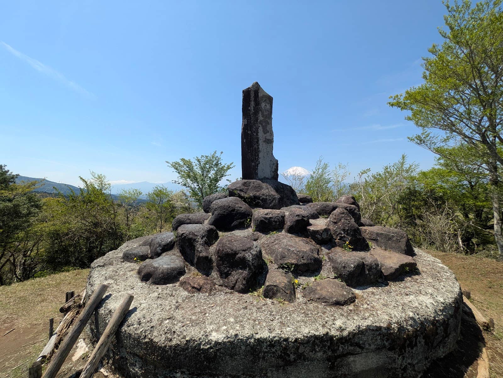 Vertical photo