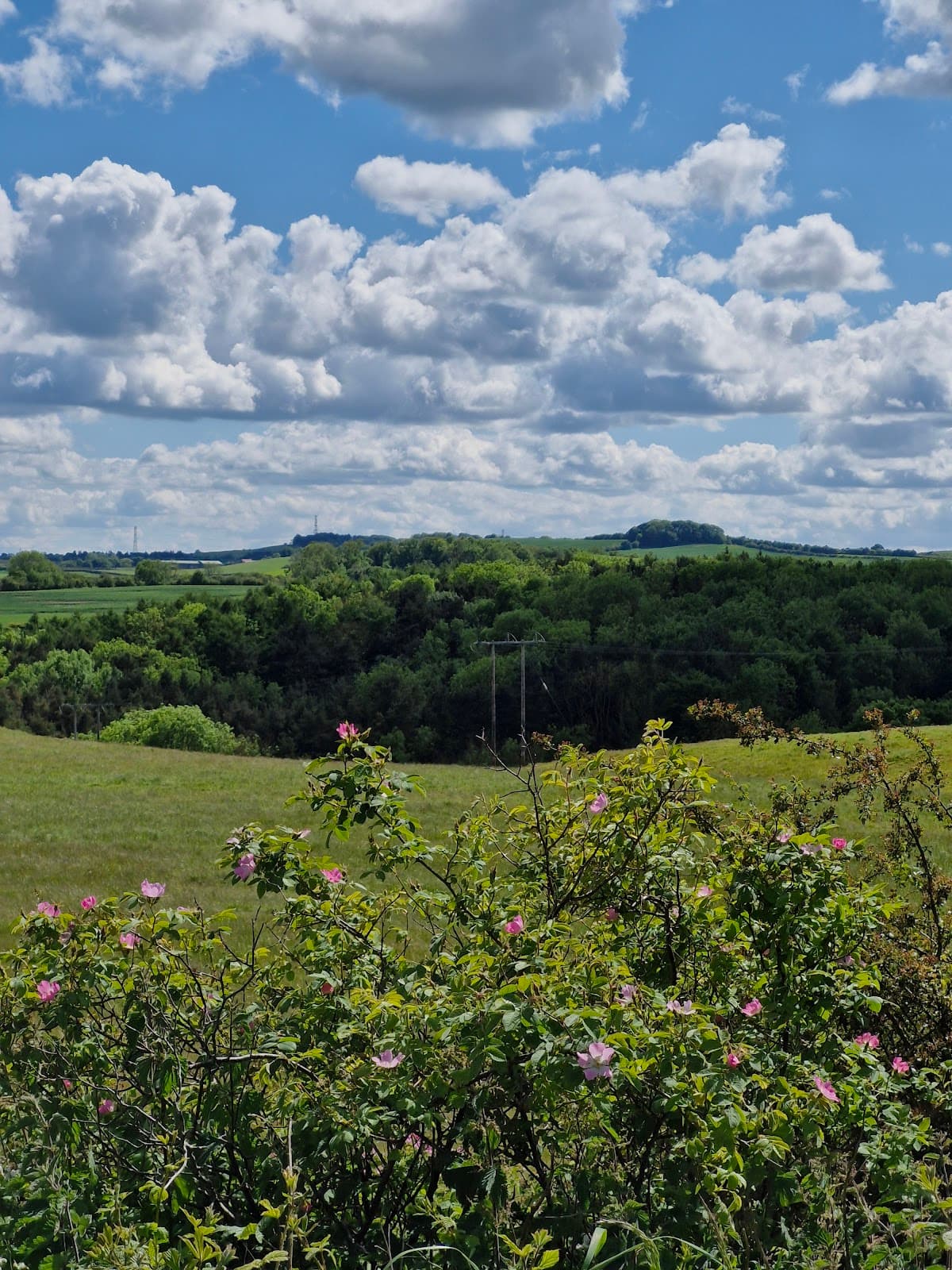 Hart to Haswell Walkway - Image 1