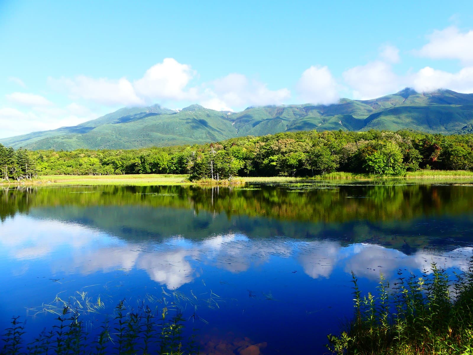 Shiretoko Five Lakes Boardwalk - Image 1