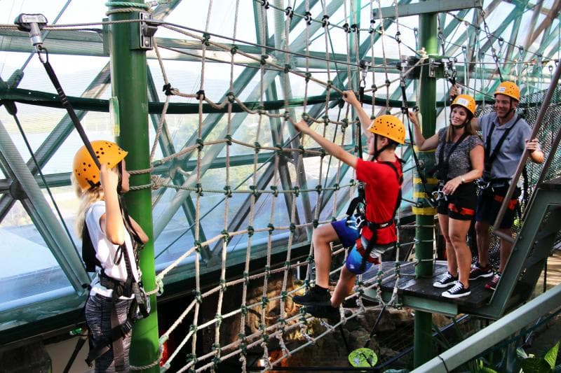 Cairns ZOOM & Wildlife Dome - Image 1