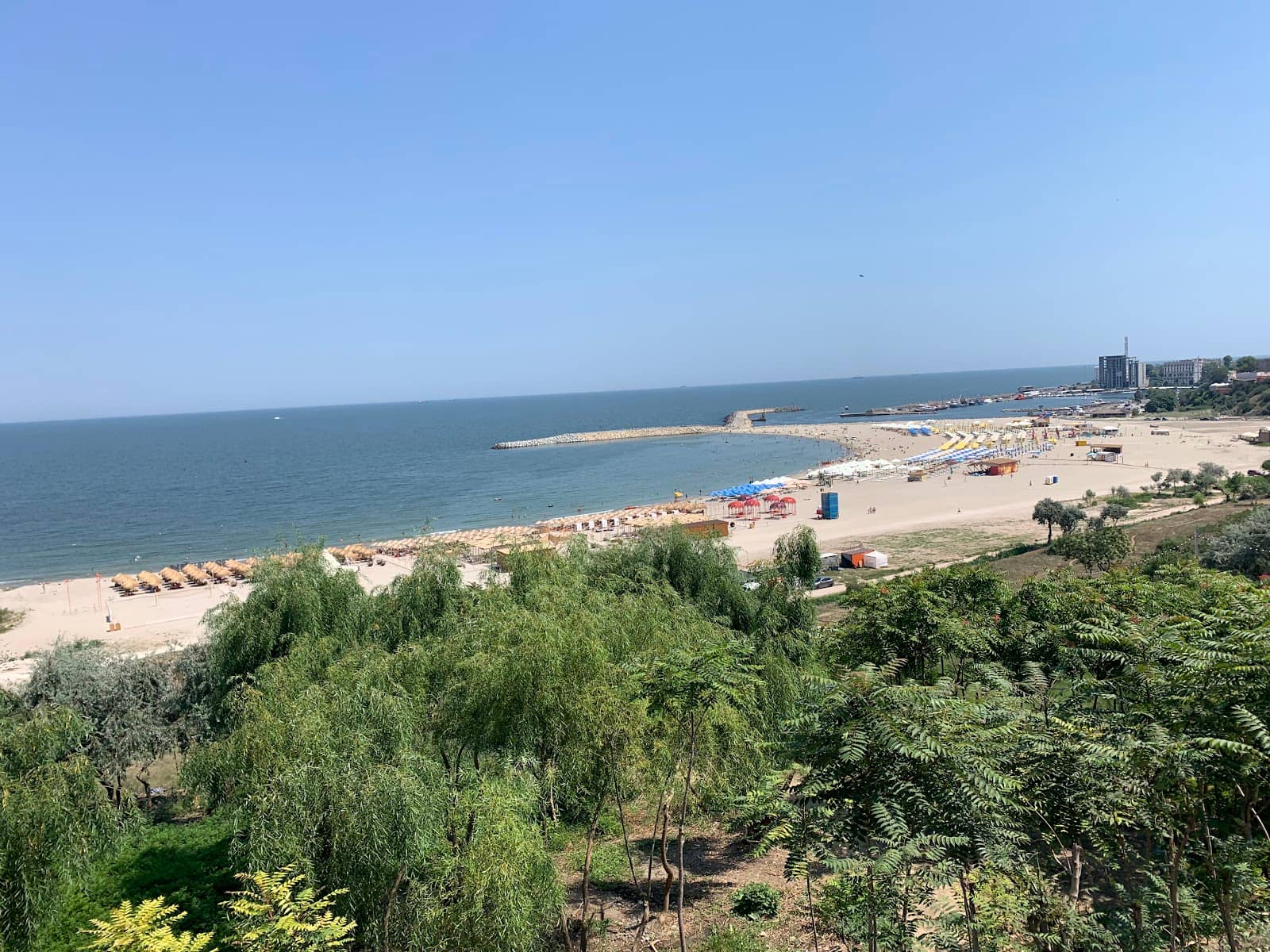 Coastal Dining Delights