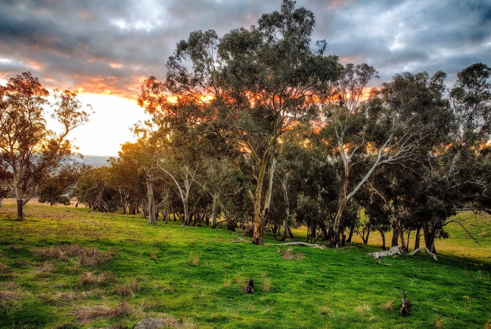 Mount Barker Summit - Image 1