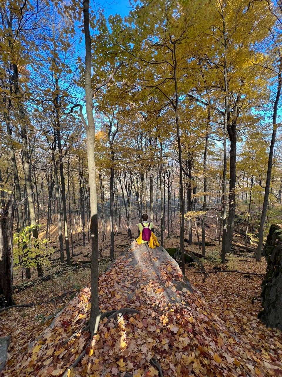 Ancaster Village - Image 1