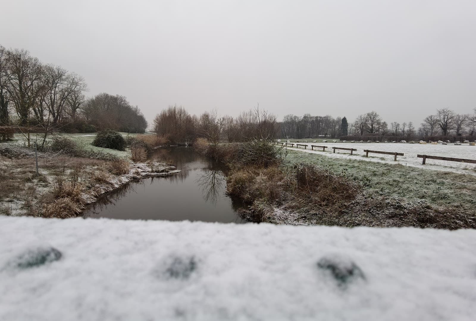 Berges de la Reyssouze - Image 1