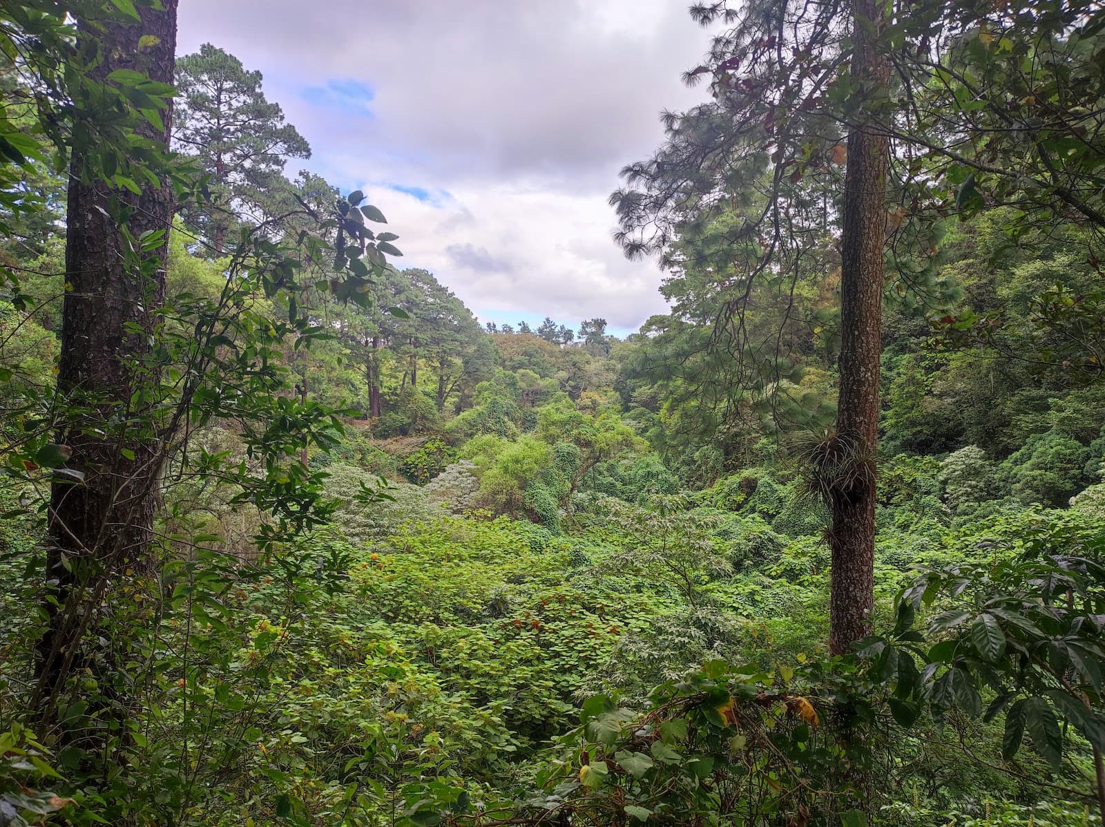Parque Ecológico Kanajuyú - Image 1