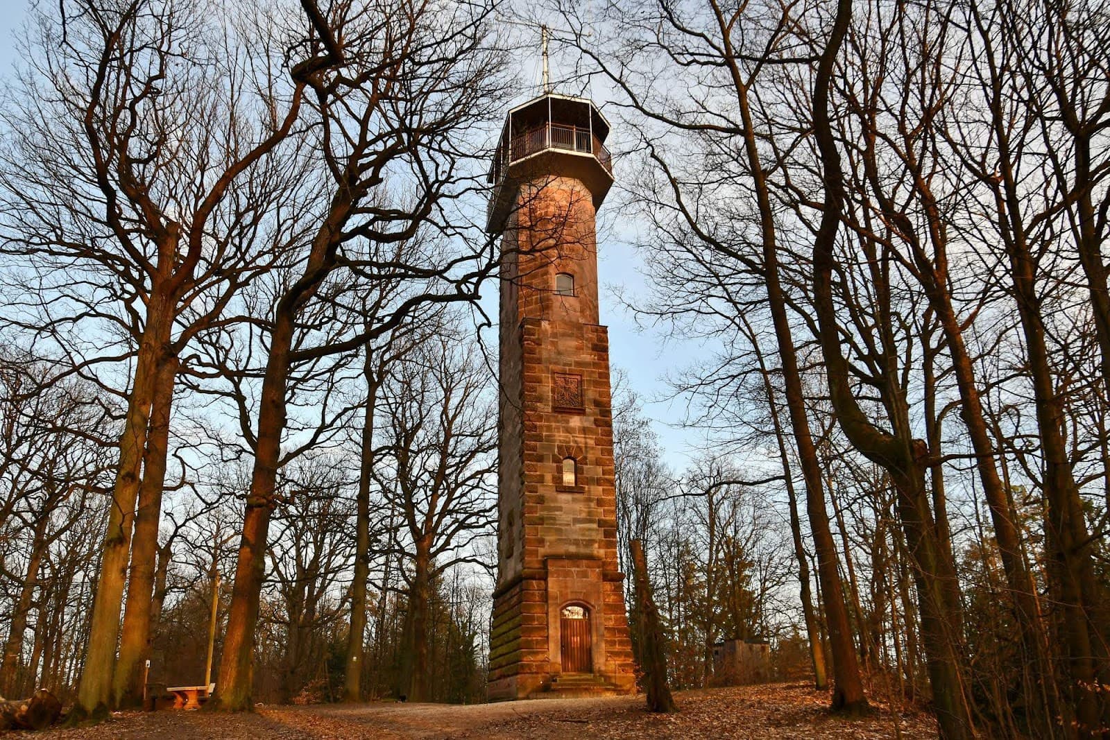 Schmausenbuck Forest and Hill - Image 1