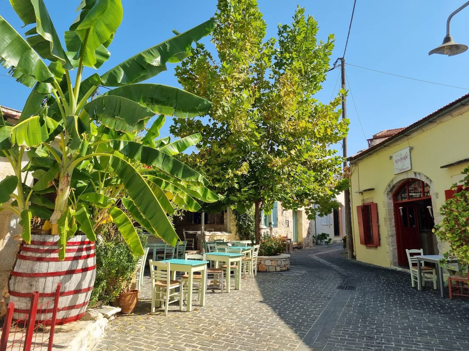 Arismari Gavalochori