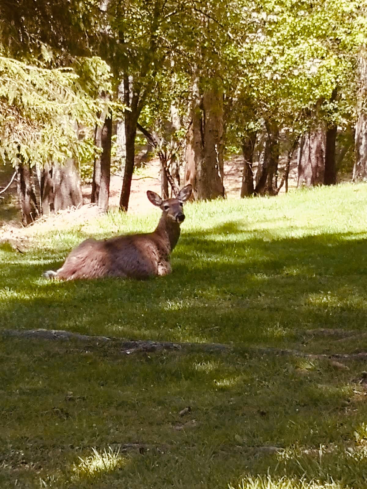 Oglebay Park - Image 1