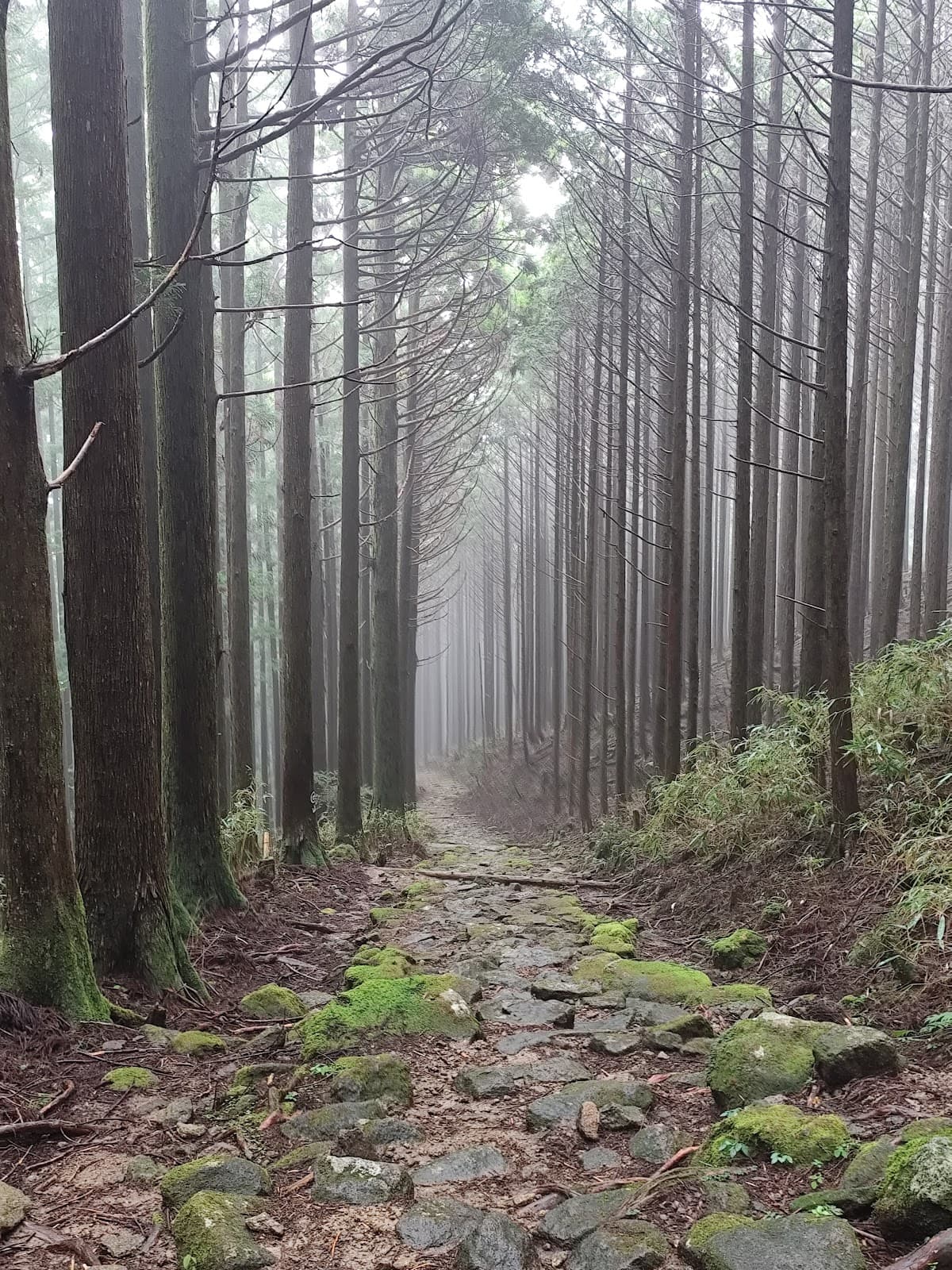 Kumano Kodo Ogumotori-goe - Image 1