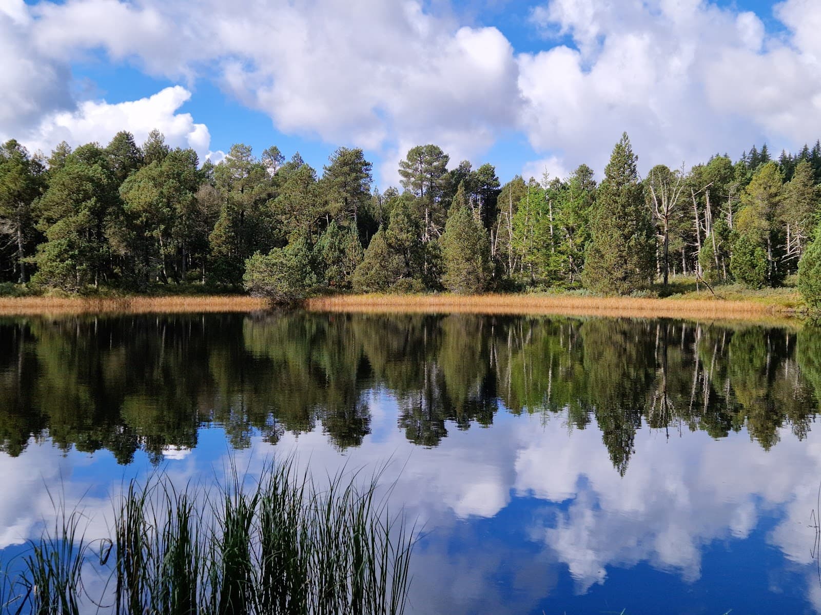Blindensee Nature Reserve - Image 1