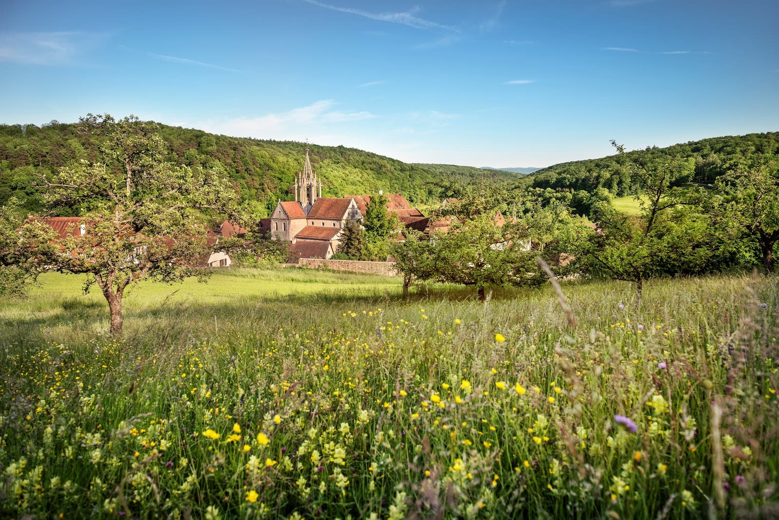 Bebenhausen Abbey - Image 1