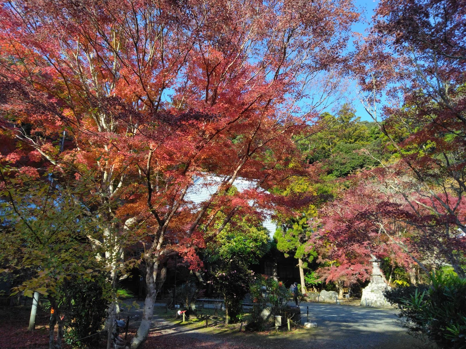Komatsuji Temple - Image 1