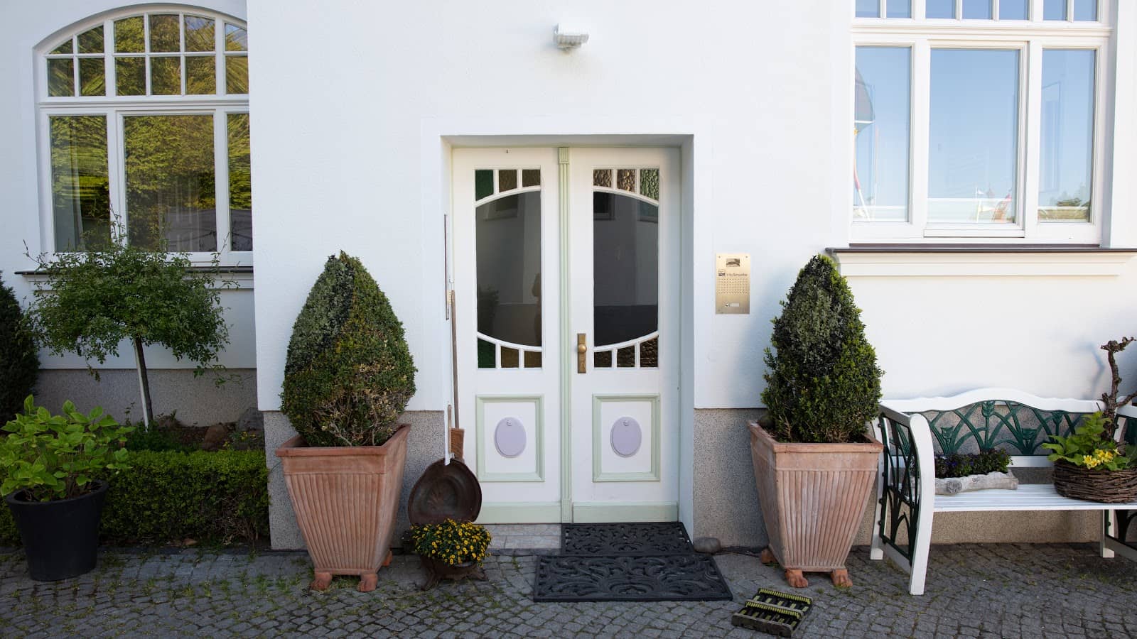 Lush Coastal Forests