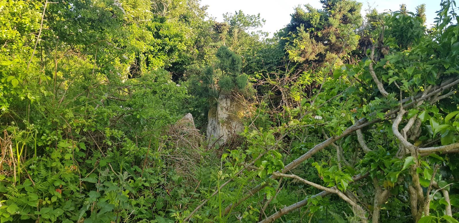Vertical photo