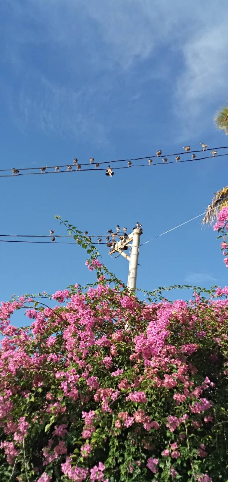 Scenic Views on Princes Road