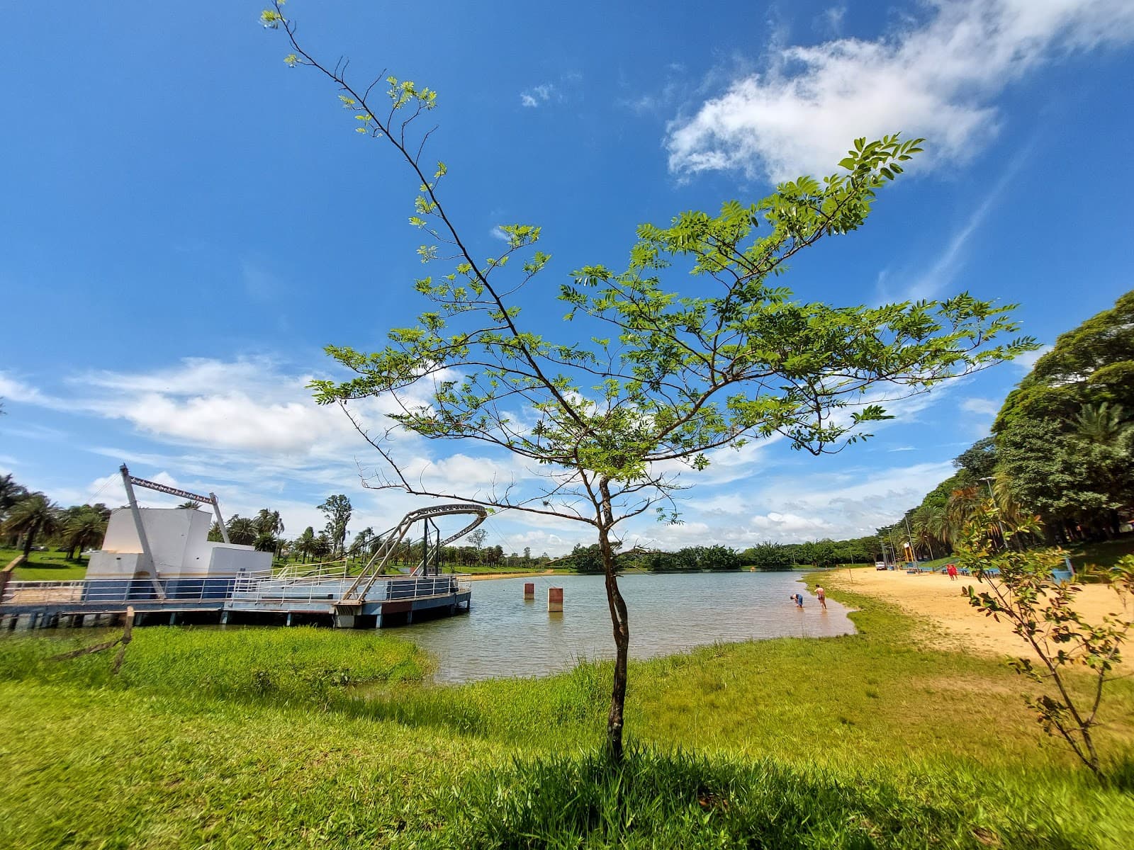 Parque Pinheirinho Araraquara - Image 1