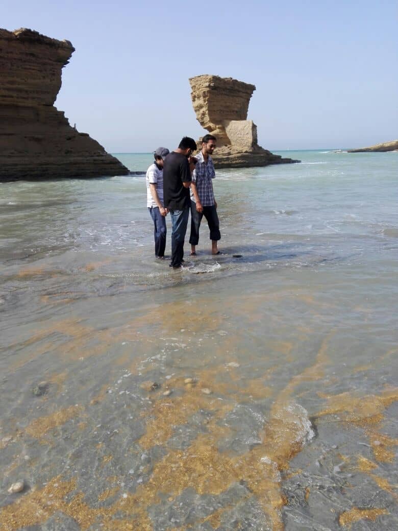 Ocean Views & Swimming