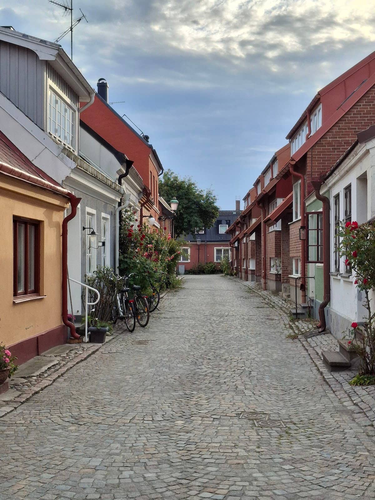 Coastal Walks and Beaches