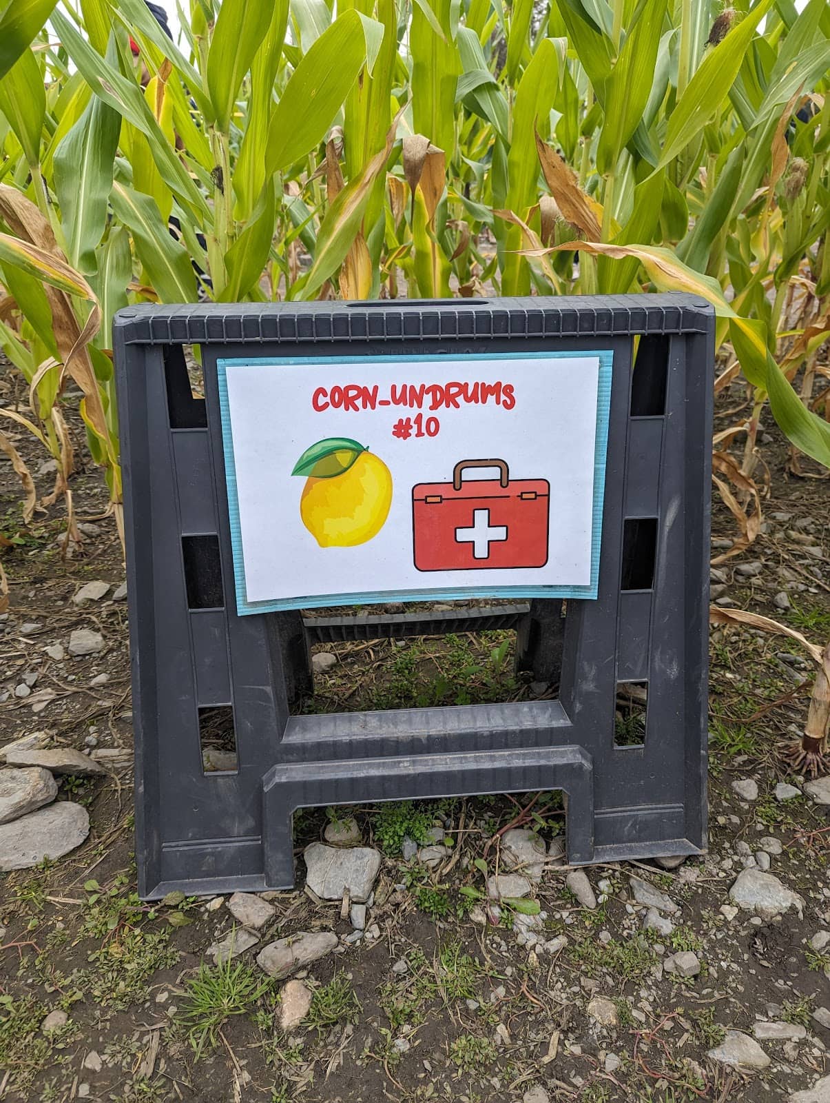 Splash Pad & Play Areas