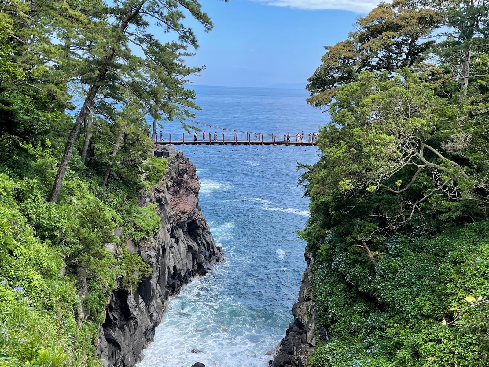 Jogasaki Coast Izu Peninsula - Image 1