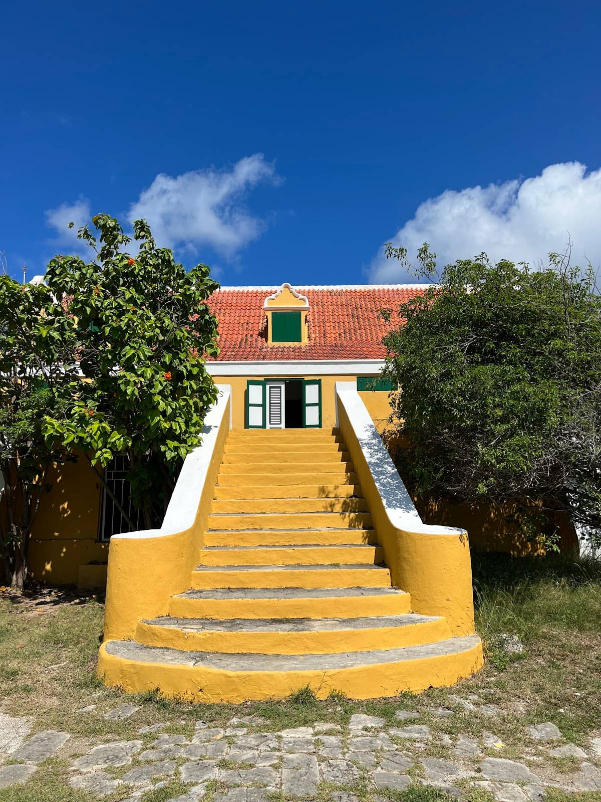 Nature and Life Infographics