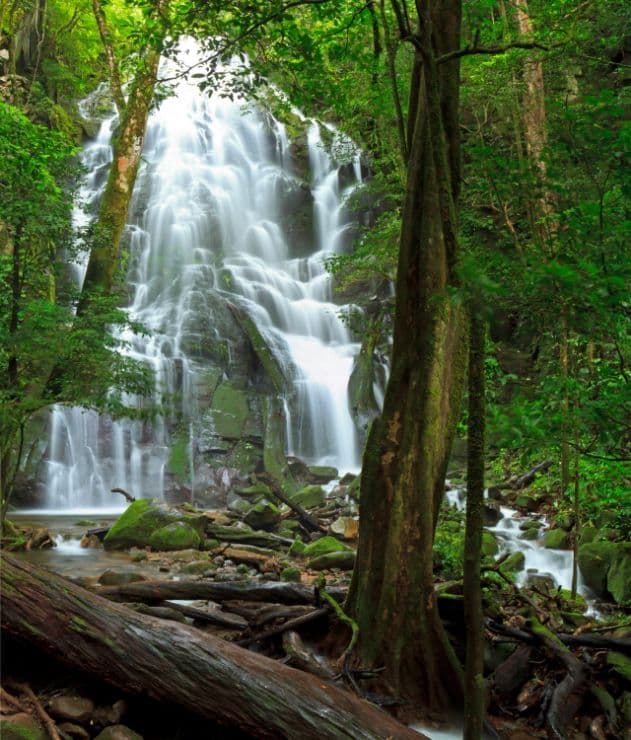 Rincon de la Vieja National Park - Image 1