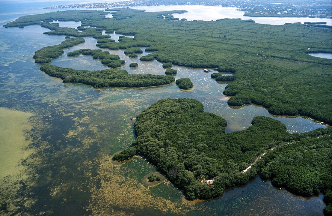 Weedon Island Preserve - Image 1