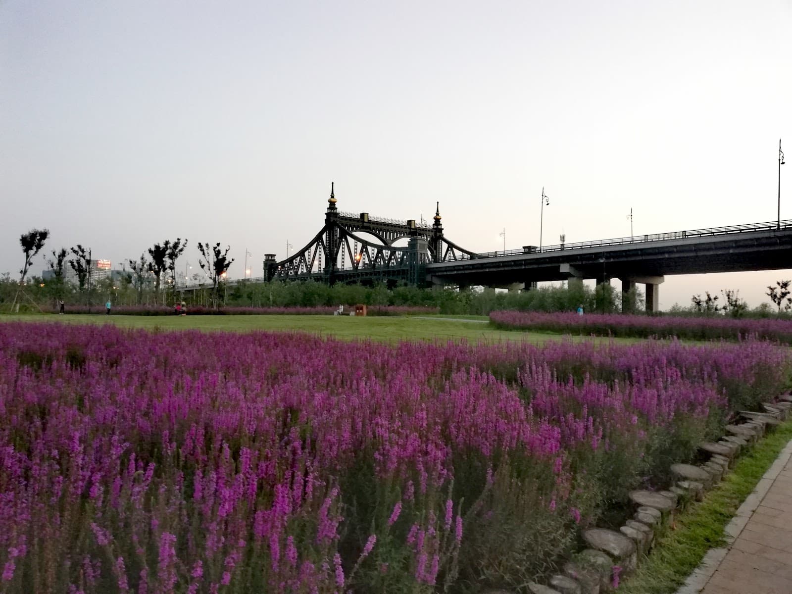Yangmingtan Bridge - Image 1