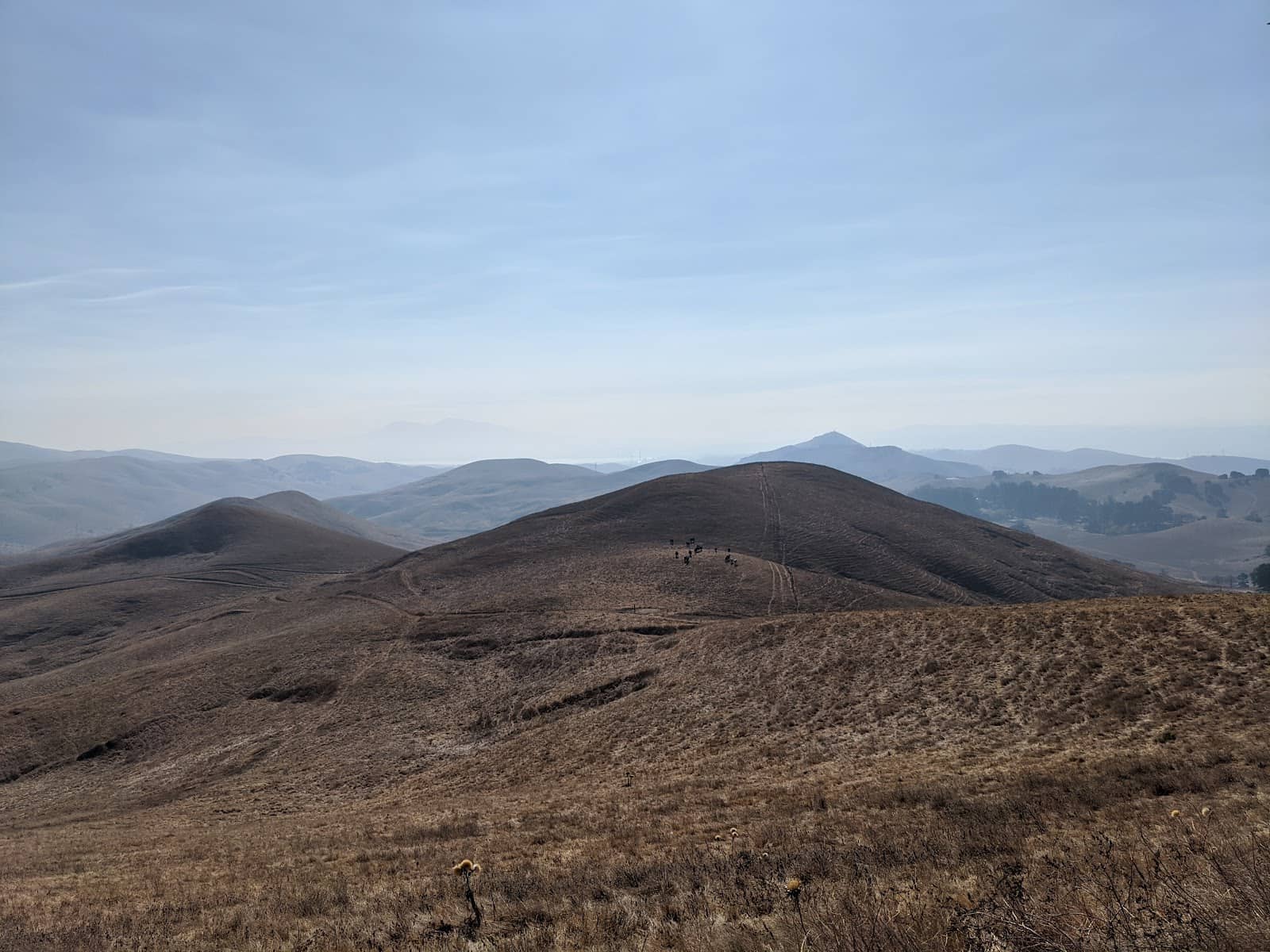 Bay Area Ridge Trail Access