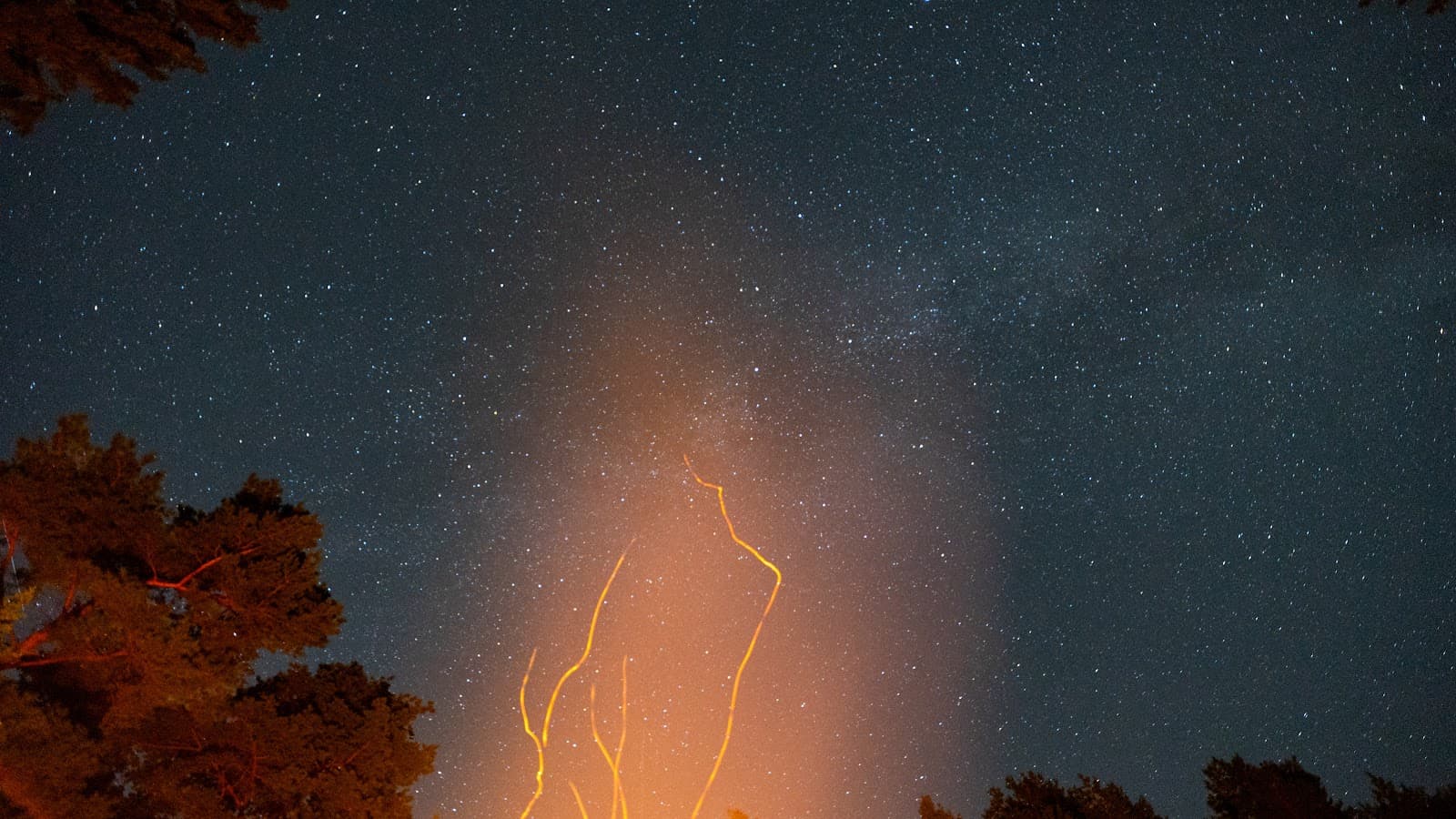 Warndt Forest - Image 1