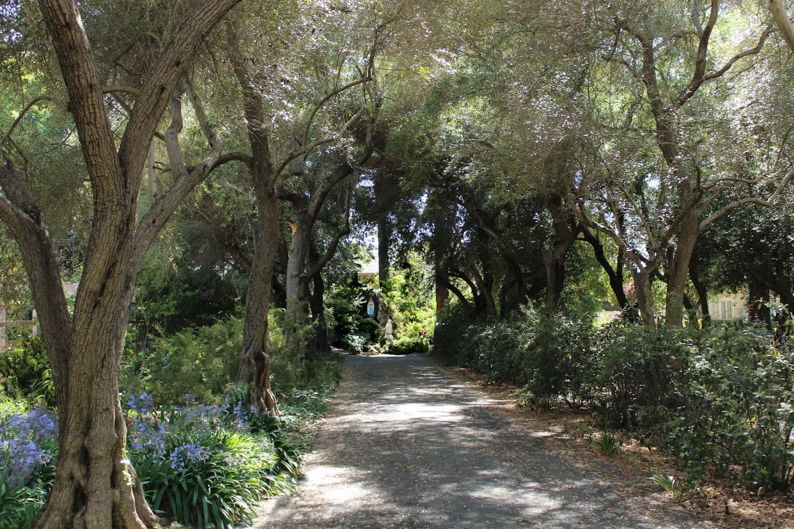Convent of Santa Clara - Image 1
