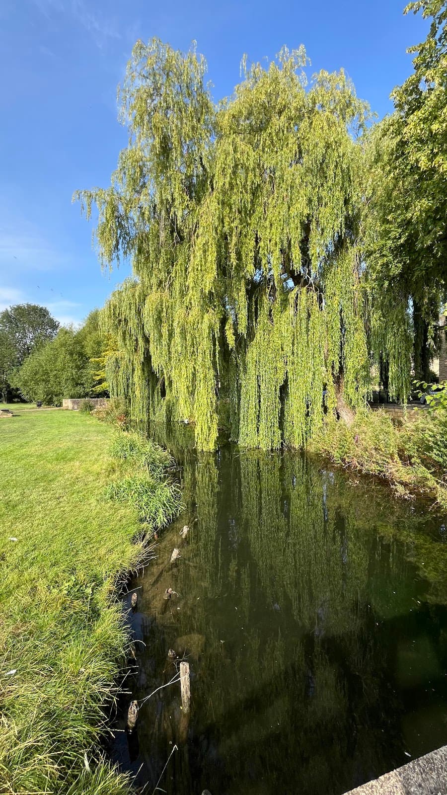 Stamford Meadows - Image 1