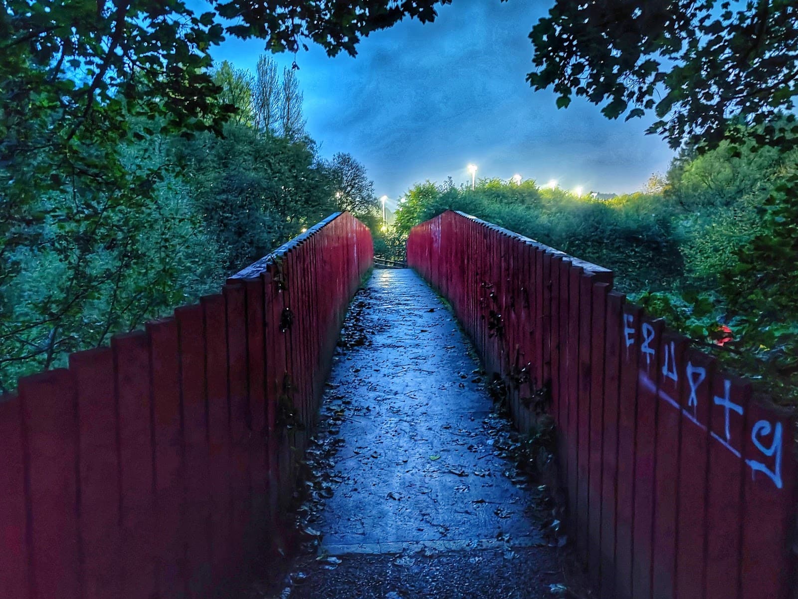 Ballyskeagh Bridge & Lock - Image 1