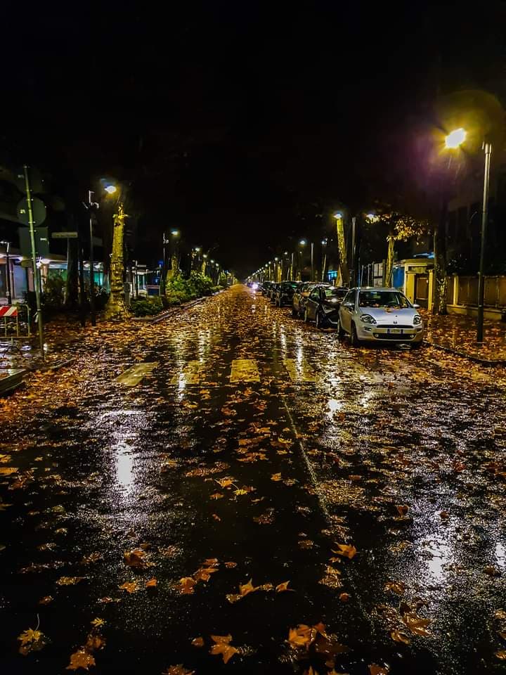 Viale Roma Cervia - Image 1