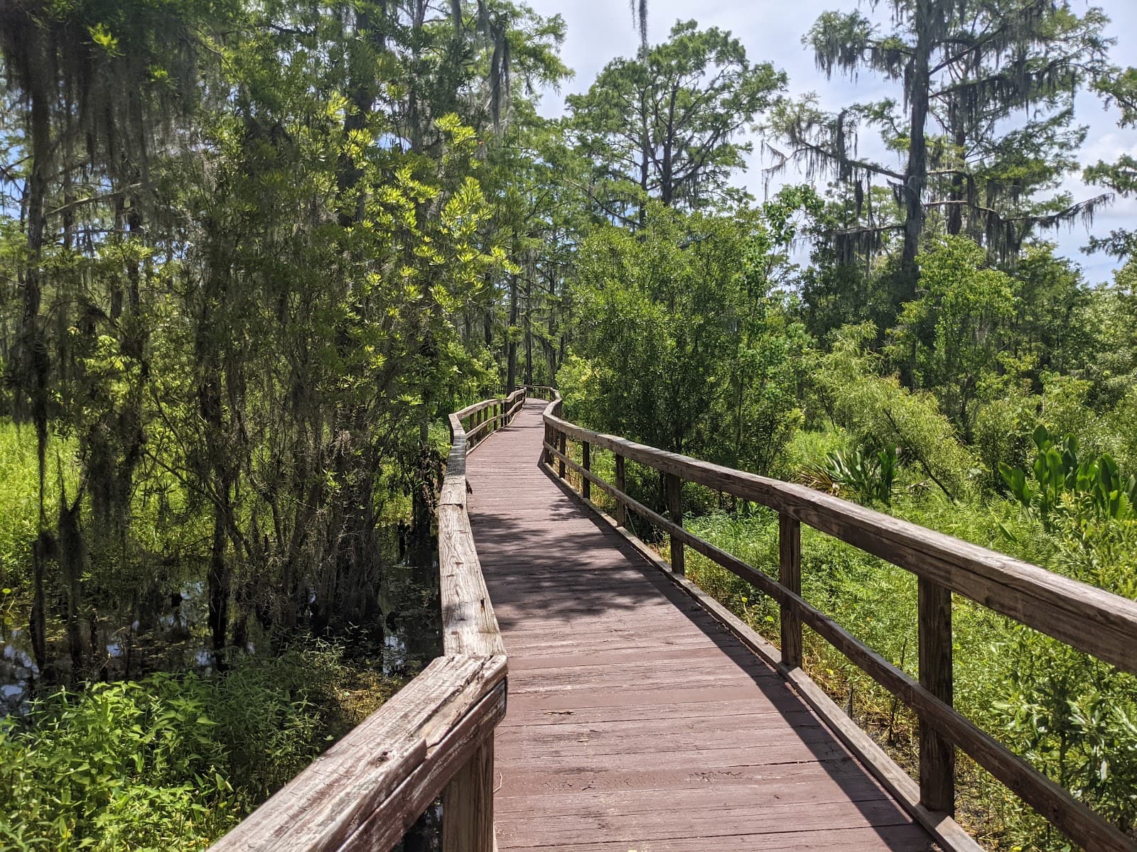 Jean Lafitte Museum & Wetland Trace - Image 1