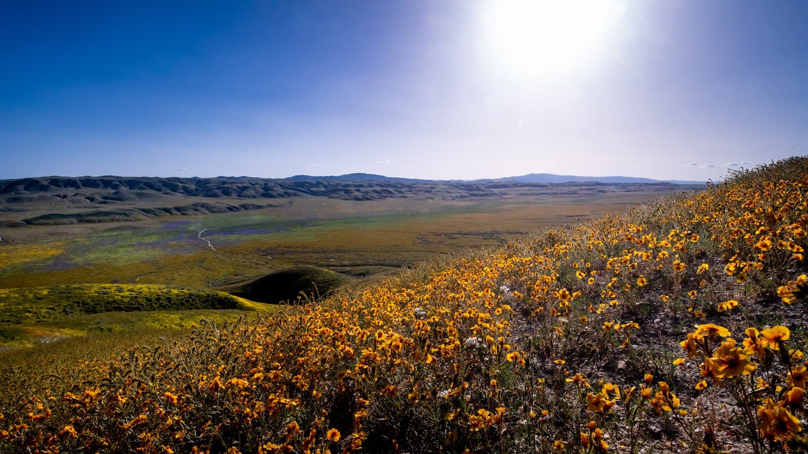 Carrizo Plain National Monument - Image 1