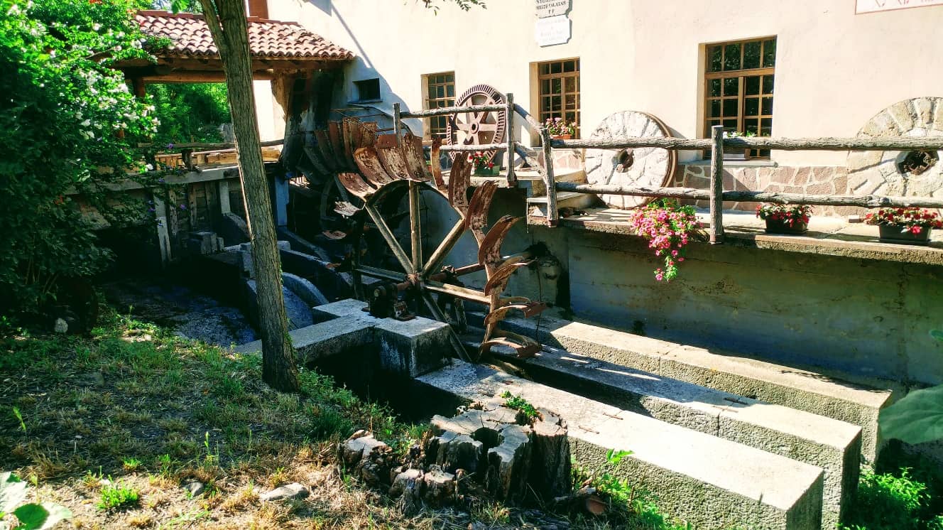 Floral Workshops