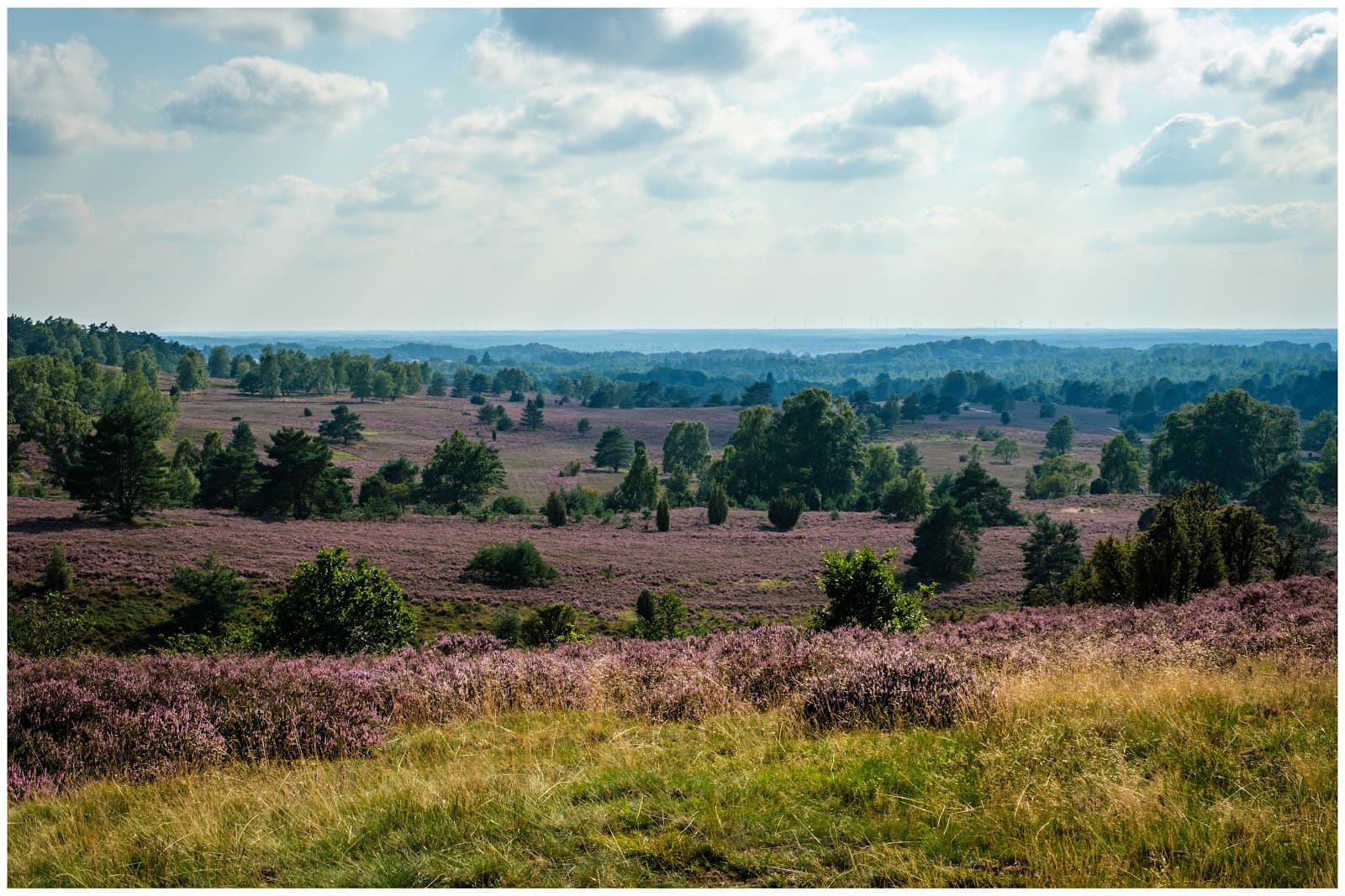 Wilseder Berg - Image 1