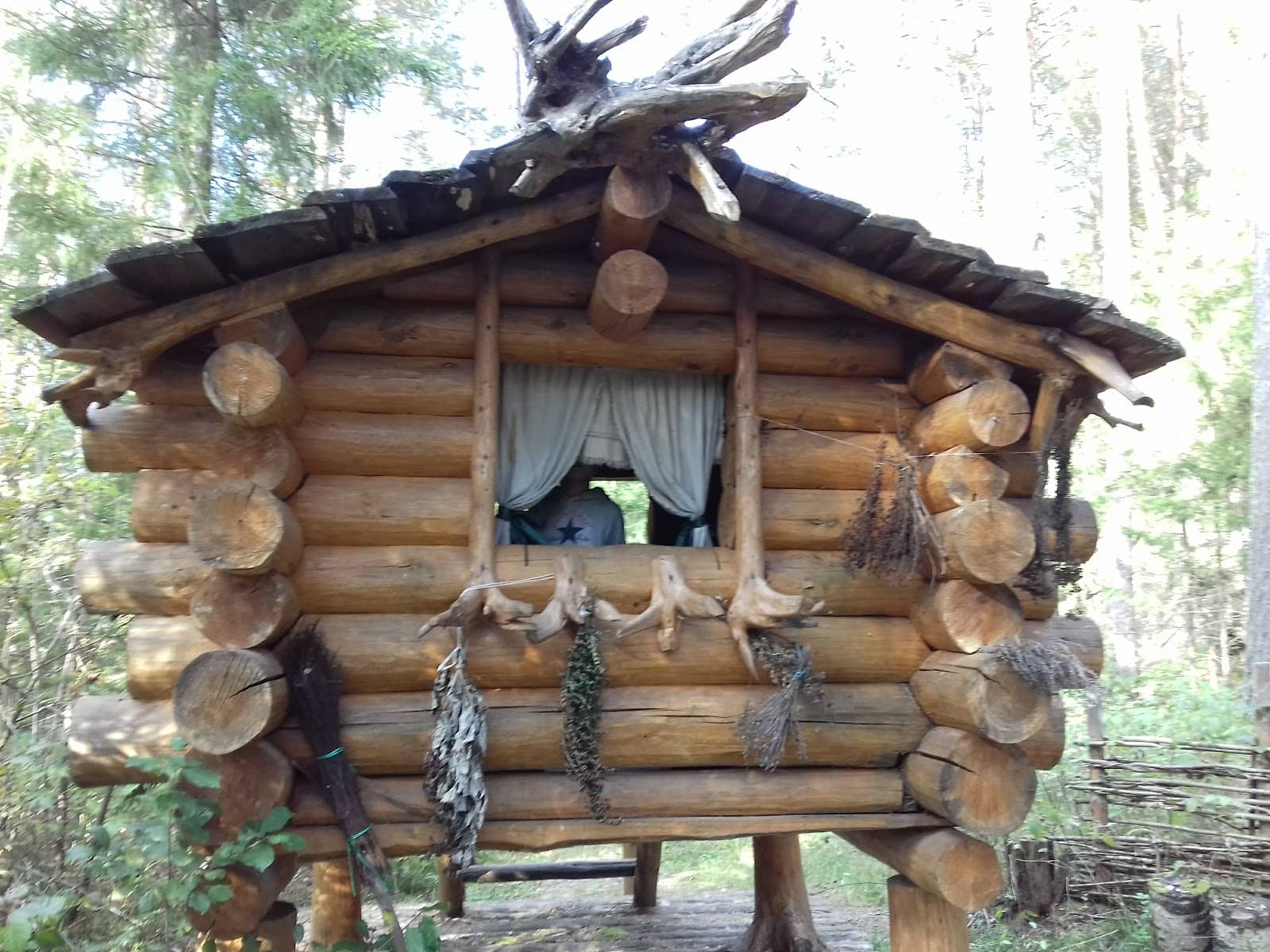 Twelve Wooden Guards