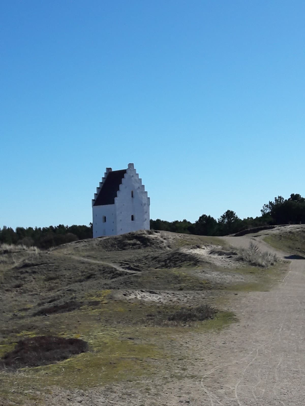 Skagen Klitplantage - Image 1