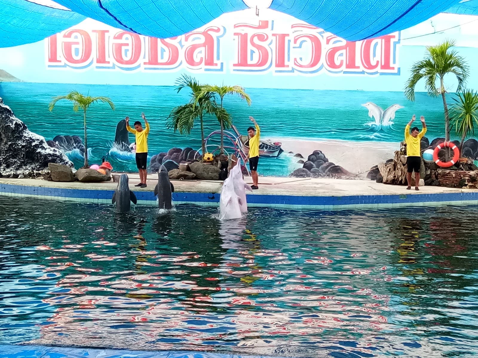 Oasis Sea World - Image 1