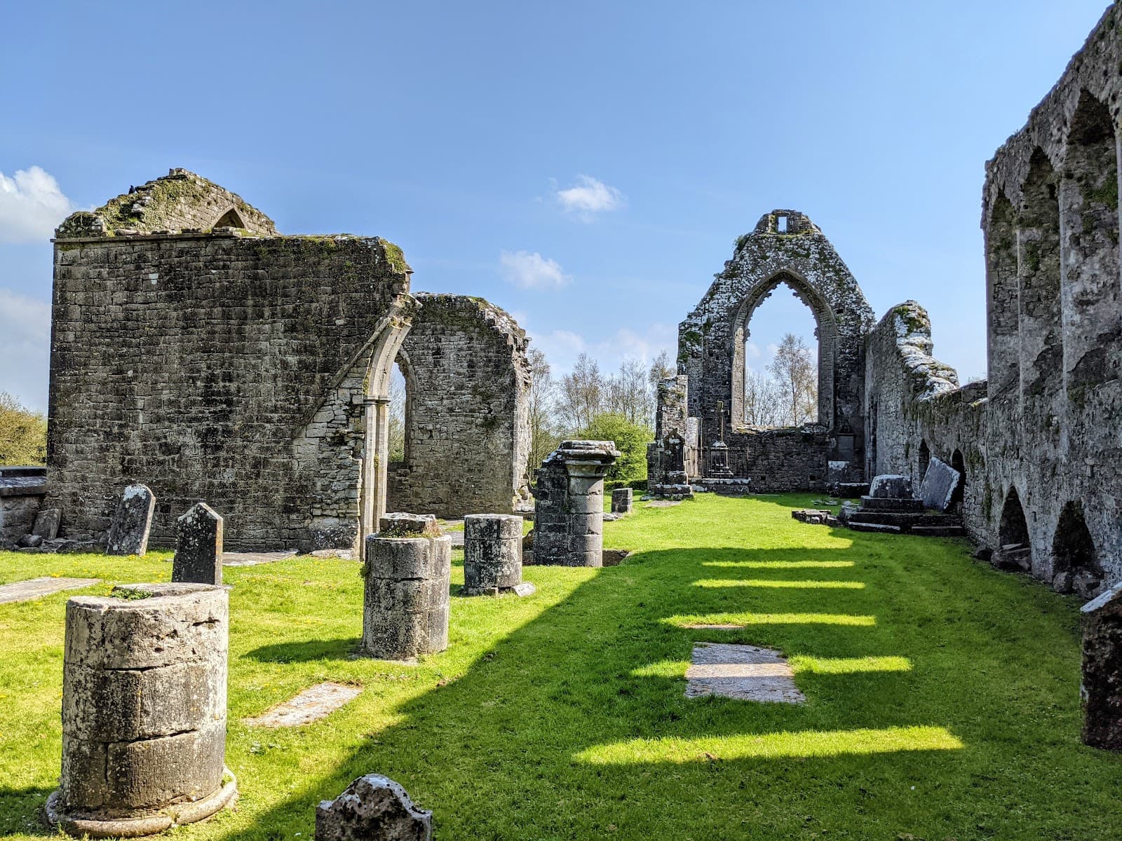 Roscommon Abbey (Dominican Friary) - Image 1