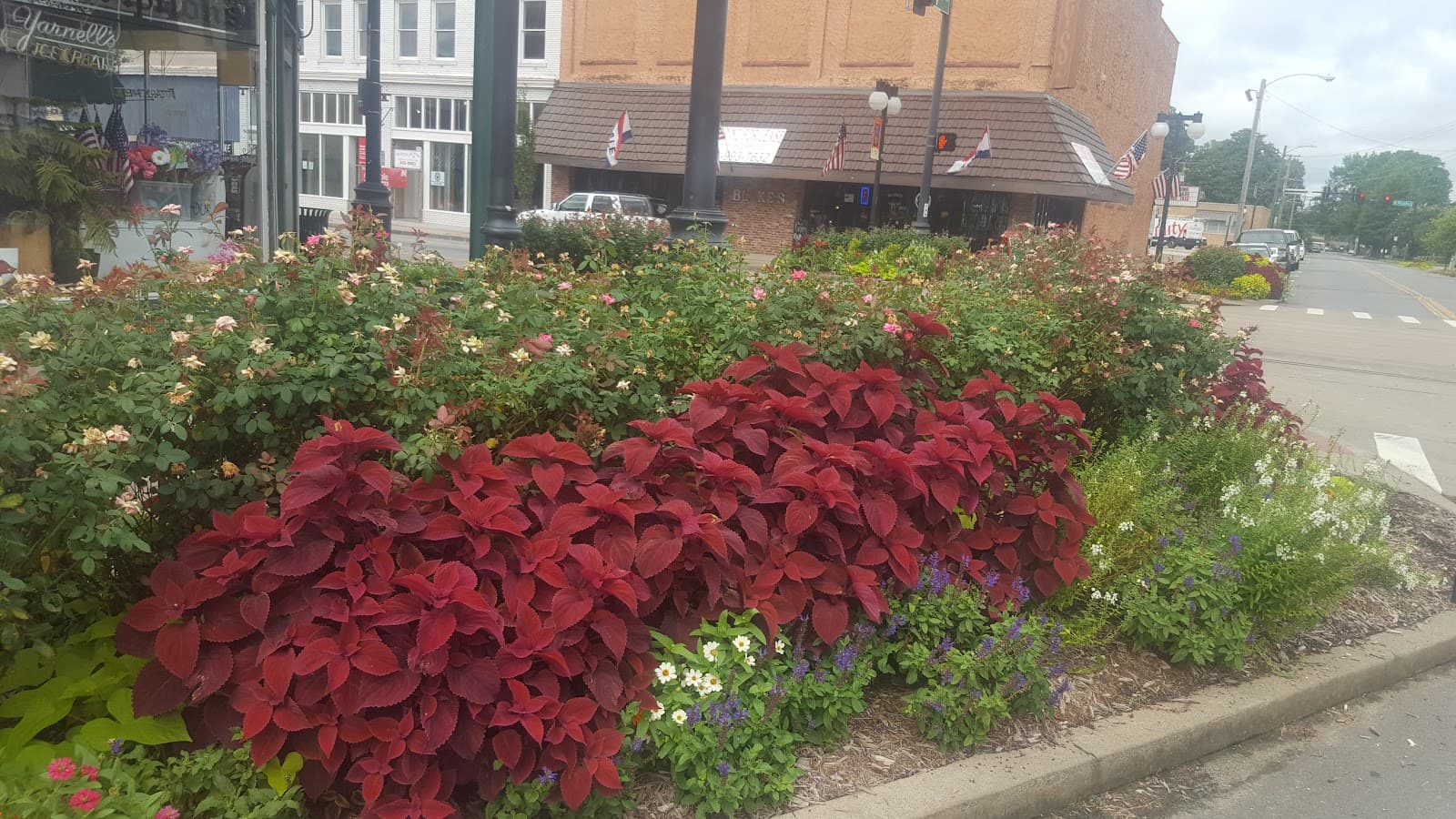Argenta Farmers Market - Image 1